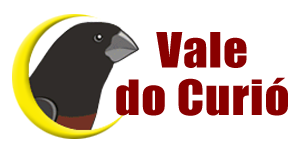 Vale do Curió - Curió Praia Clássico - São Paulo/SP